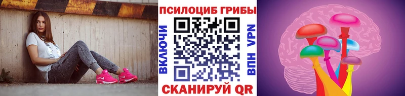 Псилоцибиновые грибы Cubensis  Мосальск 